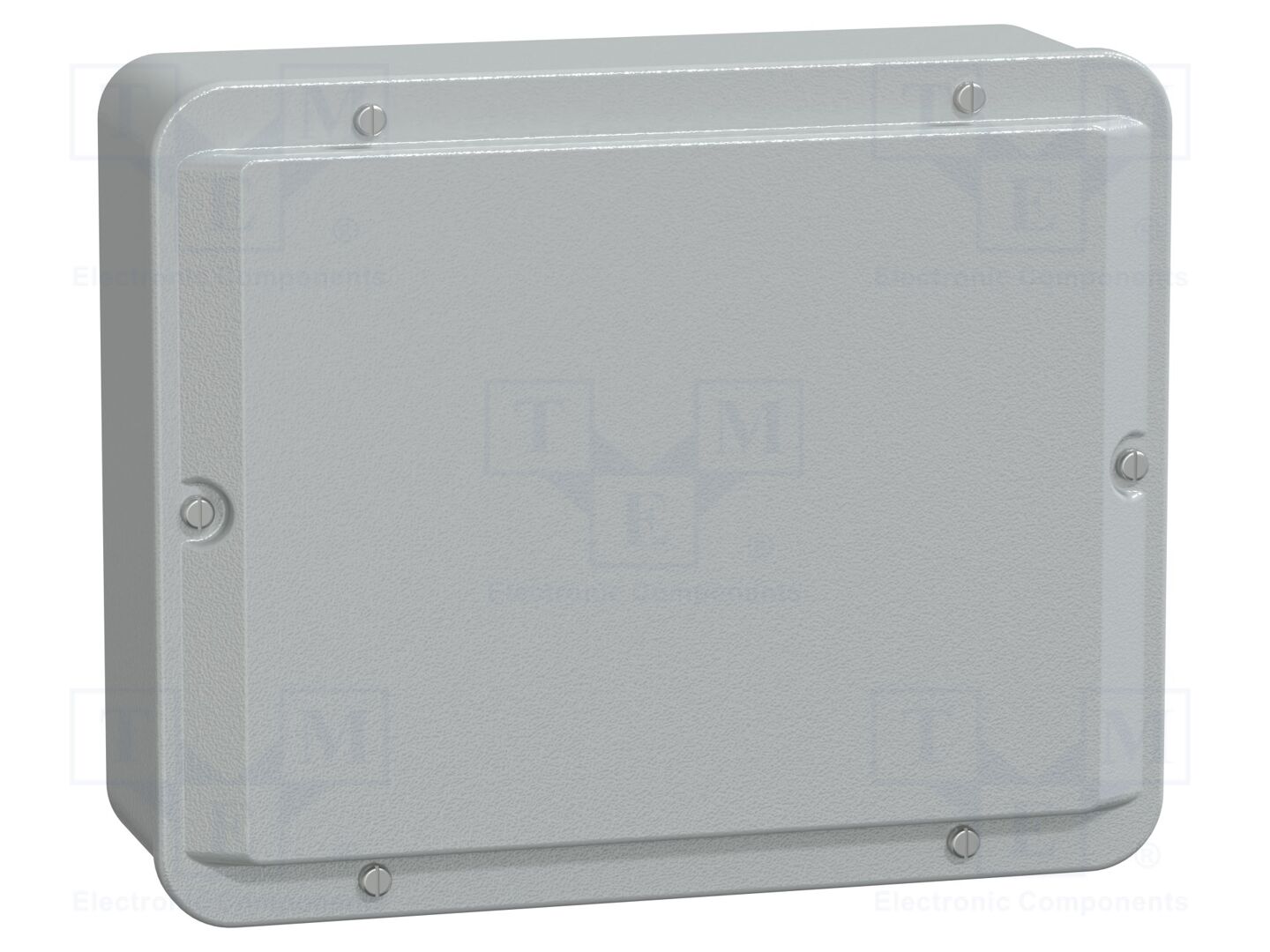 SCHNEIDER ELECTRIC NSYDBN2520 Yleiskotelo 206x256x93mm