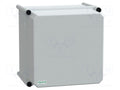 SCHNEIDER ELECTRIC NSYPLSC2727AG Yleiskotelo 270x270x230mm