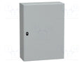 SCHNEIDER ELECTRIC NSYS3D8625 Seinäasennuskotelo 600x800x250mm