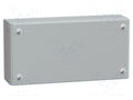 SCHNEIDER ELECTRIC NSYSBM15308 Kotelo 150x300x80mm