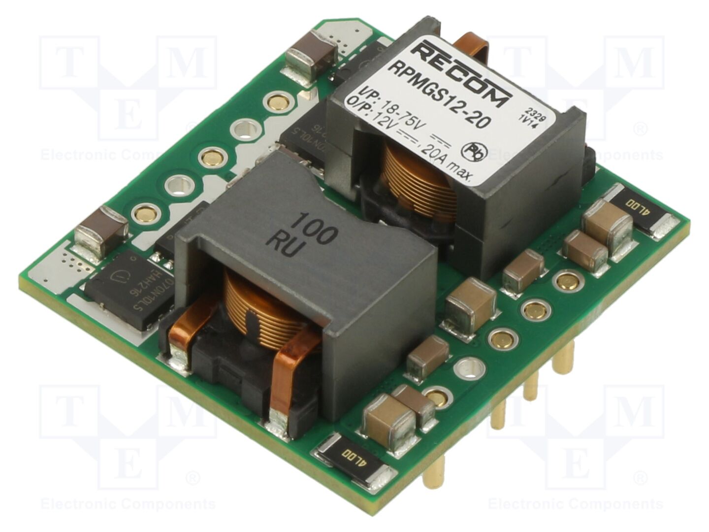 RECOM RPMGS12-20 DC/DC-muunnin 20A