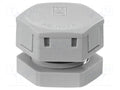 HENSEL BM-20G Paineentasauslaite M20