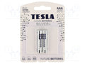 TESLA BATTERIES BAT-LR03S/TESLA-B2 Paristo 1.5V (50 kpl erä)