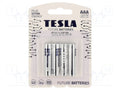 TESLA BATTERIES BAT-LR03S/TESLA-B4 Paristo AAA 1.5V (50 kpl erä)
