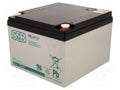 SSB ACCU-SBL-28-12I/S Lyijyakku 12V