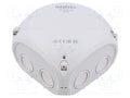 HENSEL HENSEL-DK-0402-GZ Jakorasia IP66