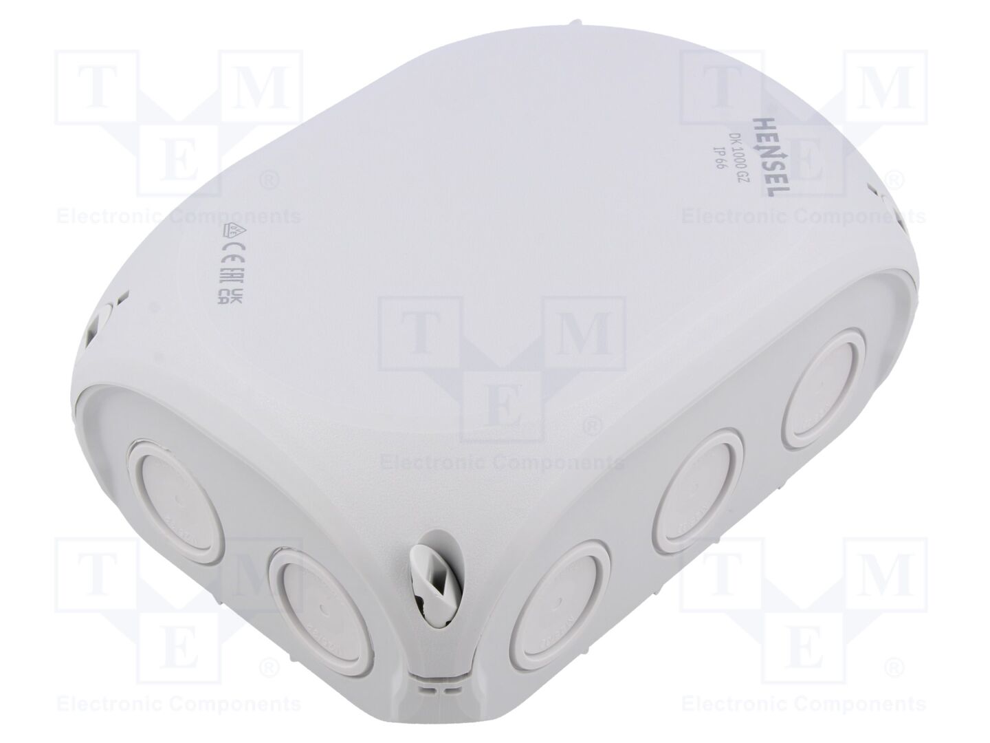 HENSEL DK-1000-GZ Jakorasia IP66