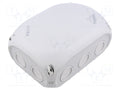HENSEL HENSEL-DK-1006-GZ Jakorasia IP66