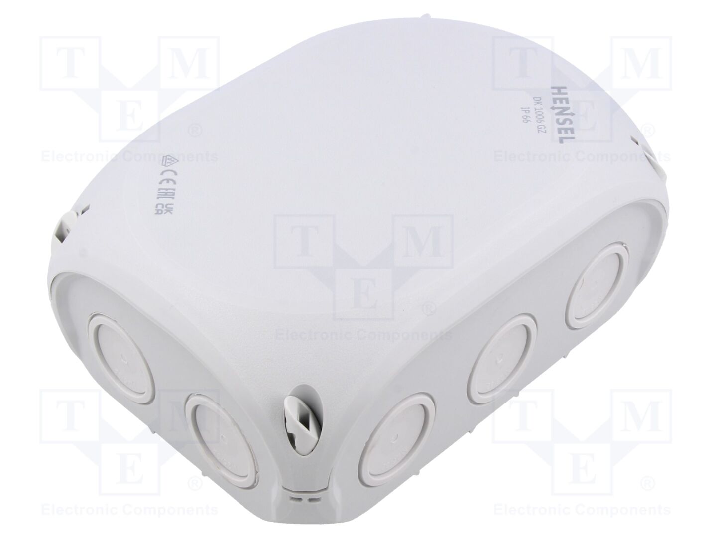 HENSEL HENSEL-DK-1006-GZ Jakorasia IP66