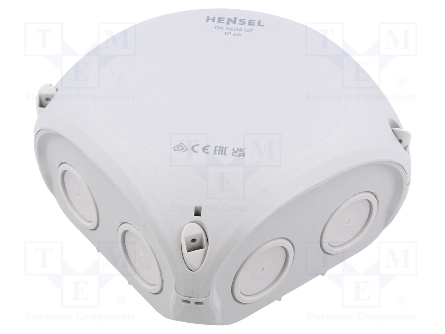 HENSEL HENSEL-DK-0604-GZ Jakorasia IP66