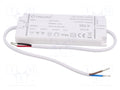 YINGJIAO YSL12M-6-24 LED-verkkolaite 6W 24VDC 250mA