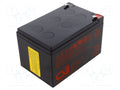 CSB BATTERY GP12120F2 Lyijyakku 12V
