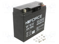 ECO FORCE EF18-12 Akkukenno 12V