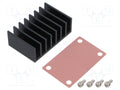 CINCON QBT210 Heatsink 49.67g