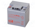 CSB BATTERY ACCU-HRL12110WFR Akku 12V