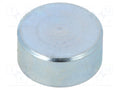 ELESA+GANTER GN50.1-SC-10-4,5 Kestomagneetti 20N
