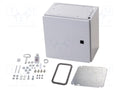 RITTAL 1033.000 Seinäkaappi 300x300x210mm