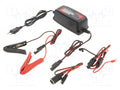 Everpower EPA1205L Laturi 721.8g