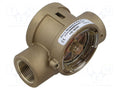 GEMS SENSORS 180392 Virtausvahti Fluid flow, brass