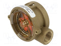 GEMS SENSORS 142542BSPP Virtausvahti brass