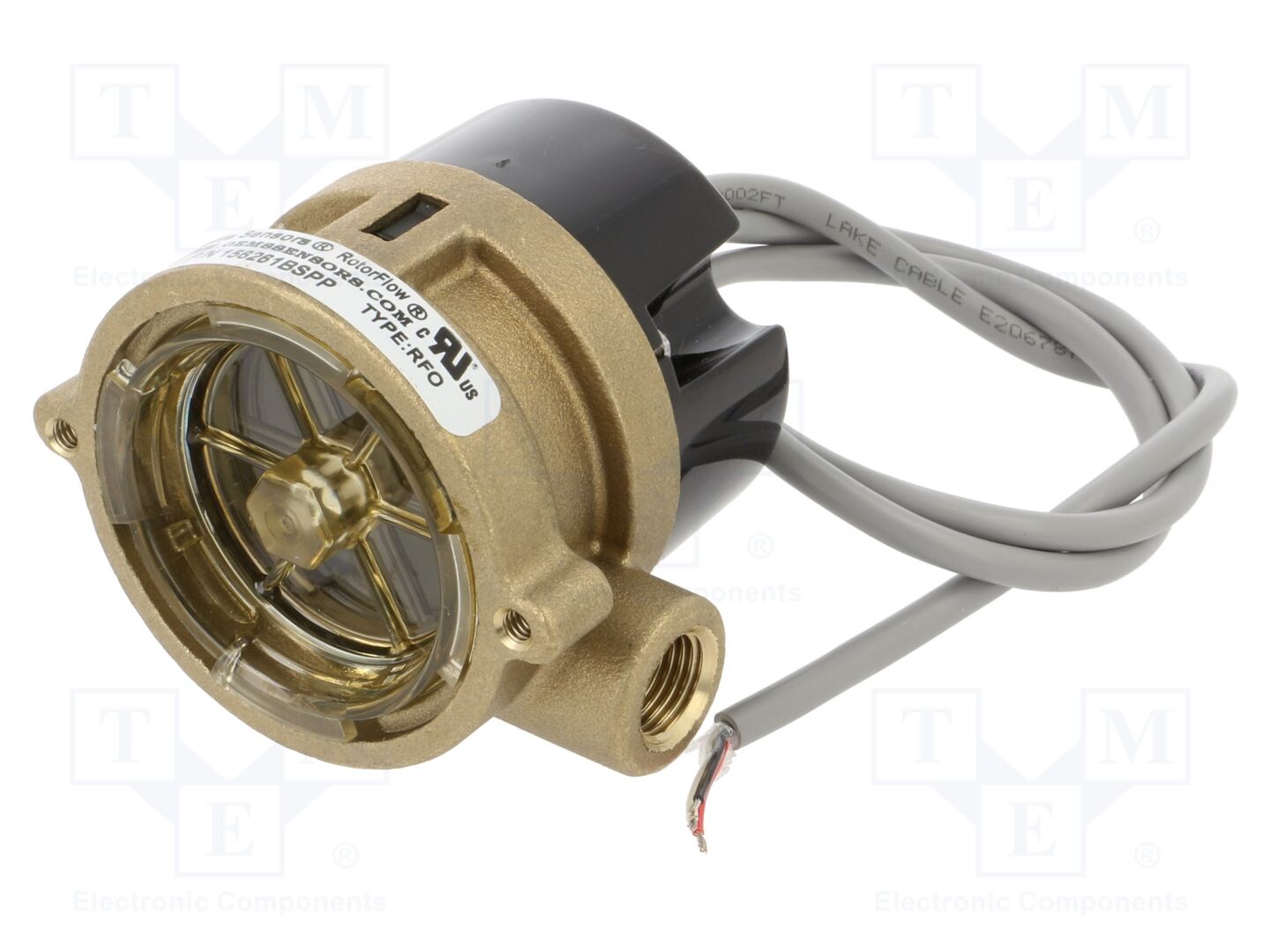 GEMS SENSORS 156261BSPP Virtausvahti 0.6m