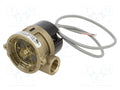 GEMS SENSORS 156262BSPP Virtausvahti 0.6m