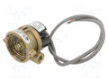 GEMS SENSORS 156265BSPP Virtausvahti 0,6m
