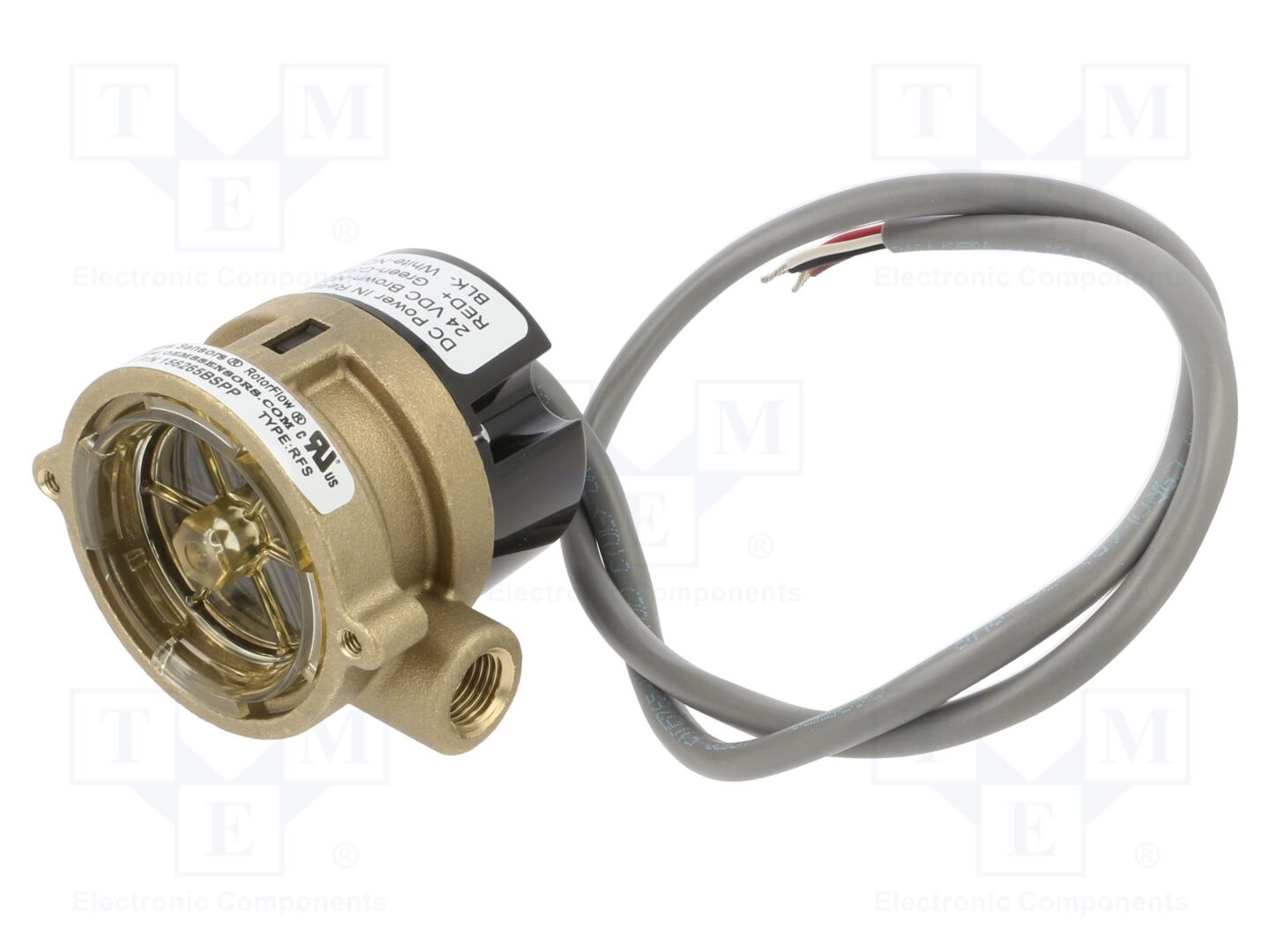 GEMS SENSORS 156265BSPP Virtausvahti 0,6m