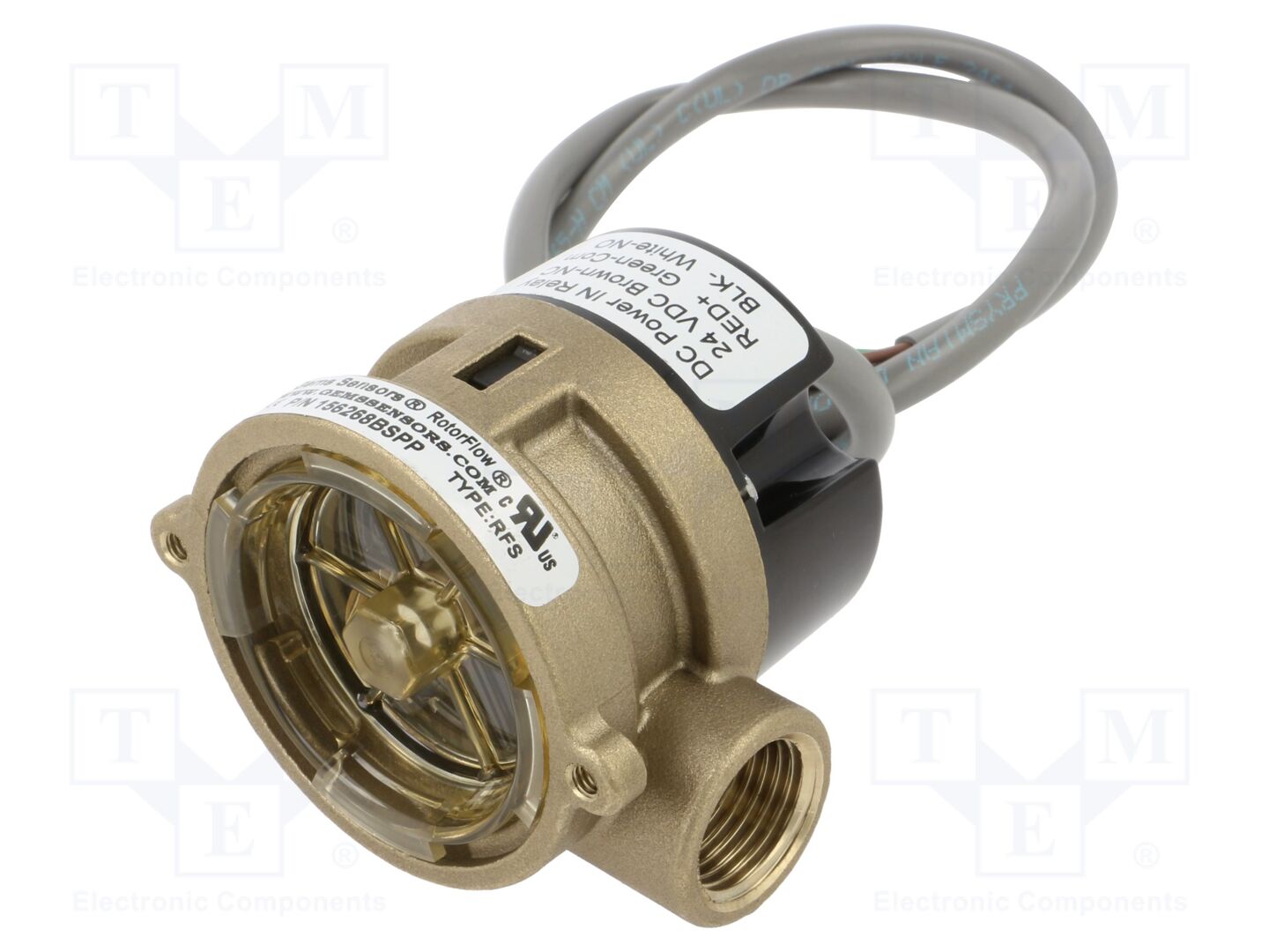 GEMS SENSORS 156268BSPP Virtausvahti 0.6m