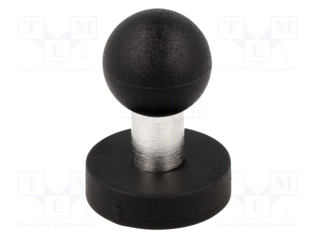 ELESA+GANTER GN51.7-ND-31-A Magneetti 31mm