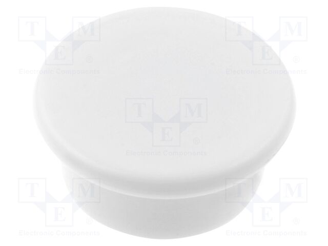 ELESA+GANTER GN53.1-ND-30-WS Kestomagneetti 27N