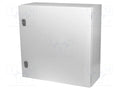 EATON ELECTRIC CS-66/250 Seinäkaappi 600x600x250mm