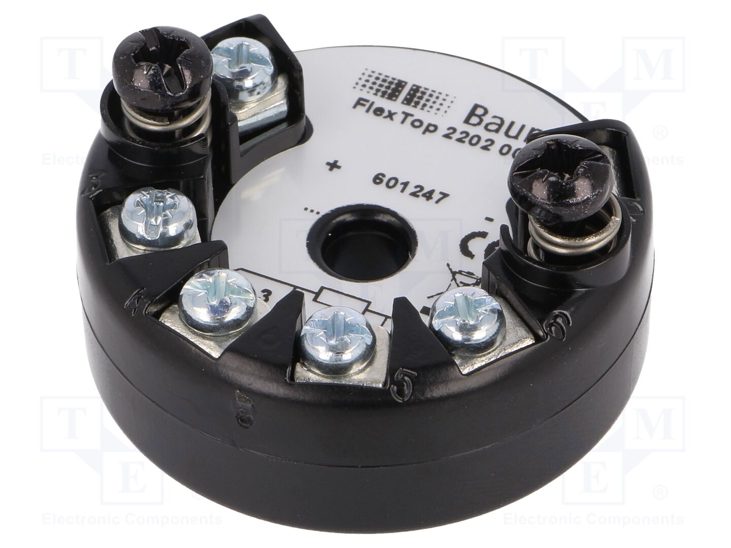 BAUMER 2202-0001 Lämpötilamuunnin 8-35VDC