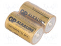 GP BAT-LR20/GP-I-S2 Alkaliparisto D 1,5V