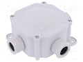 PAWBOL A.0036 Jakorasia IP67