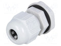 STEGO 28411.0-00 Paineentasauslaite M16x1.5