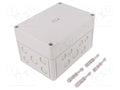 SPELSBERG TK-PS-1813-11-M Yleiskotelo 130x180x111mm