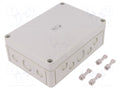 SPELSBERG TK-PS-1813-6F-M Yleiskotelo 180x130x63mm