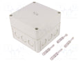 SPELSBERG TK-PS-1313-10-M Yleiskotelo 130x130x99mm