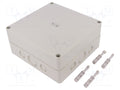 SPELSBERG TK-PS-1818-8F-M Yleiskotelo 180x182x84mm