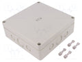 SPELSBERG TK-PS-1818-6F-M Yleiskotelo 180x182x63 mm