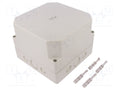 SPELSBERG TK-PS-1818-13F-M Yleiskotelo 180x182x137mm