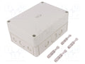 SPELSBERG TK-PS-1813-8F-M Yleiskotelo 180x130x84mm