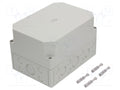 SPELSBERG TK-PS-2518-16-M Yleiskotelo 180x254x165mm