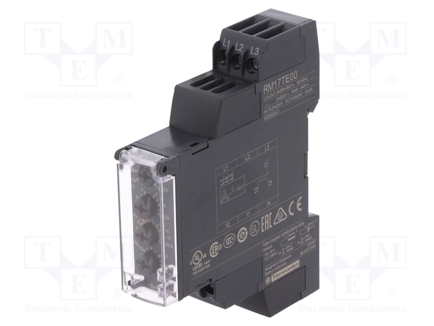SCHNEIDER ELECTRIC RM17TE00 Valvontarele DIN-kisko