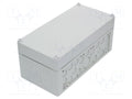 SPELSBERG AKL-1-G Jakorasia 150x300x132mm