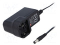 MEAN WELL GEM12I09-P1J Plug-in Power Supply 9VDC