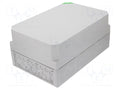 SPELSBERG AKI-3-GH Jakorasia 300x450x209mm