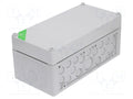 SPELSBERG AKI-1-G Jakorasia 150x300x132mm