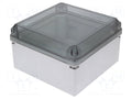SPELSBERG GEOS-L-3030-18-TO Yleiskotelo 300x300x180mm